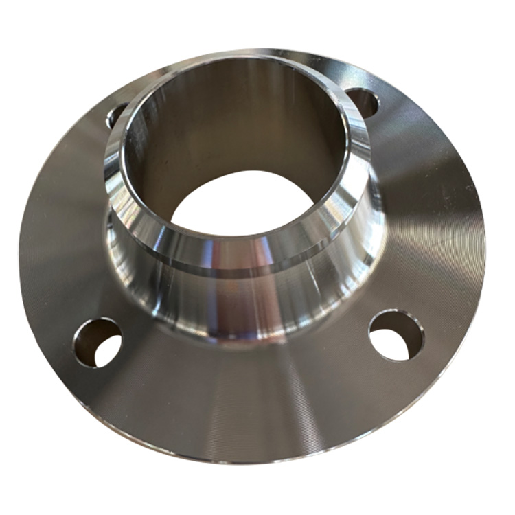 Stainless Steel 304 Flensa Las Datar